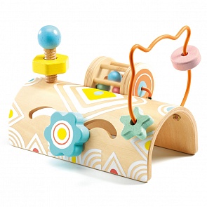 Сортер для малыша (Djeco, 06120)